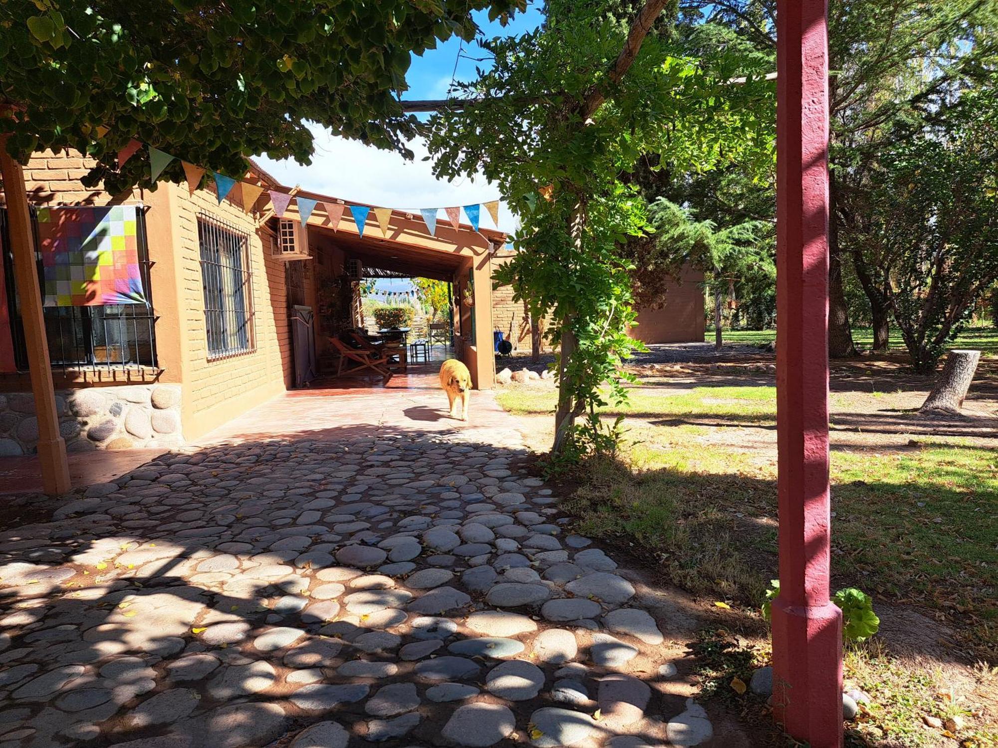 Aire De Barreal Hostel Andino Exterior foto